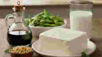 img-317ee31ed5367b5c2837eb5853c5350d.jpg