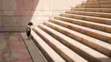 img-3838a736f9aeade91b6a6bf52a4b54c6.jpg