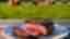 img-3e8517df0fd128b5fad9a7fcae4b06cc.jpg