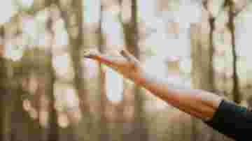 img-6ce98cca56d49599169f4c9672e4c838.jpg