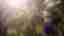 img-c4d1641bd64ae444f27b3a88af9cb6ff.jpg