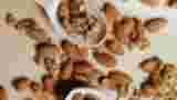 Oméga-3 et alimentation végétale : un enjeu nutritionnel essentiel